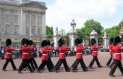 London Guide : Buckingham Palace Changing of the Guard